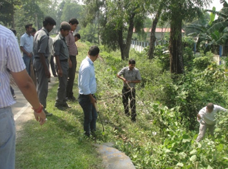 Cleanliness Drive around Office Premises #6