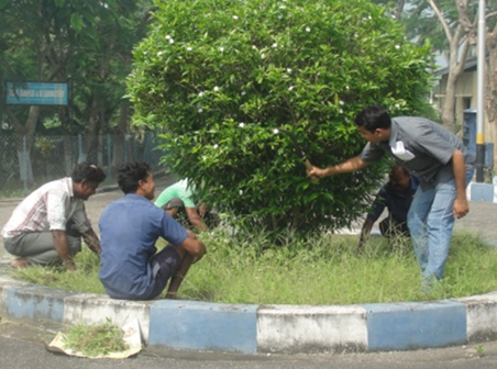 Cleanliness Drive #4