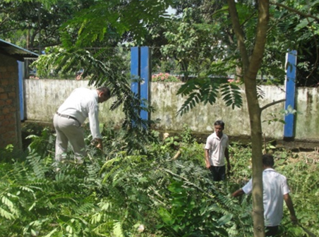 Cleanliness Drive around Office Premises #5